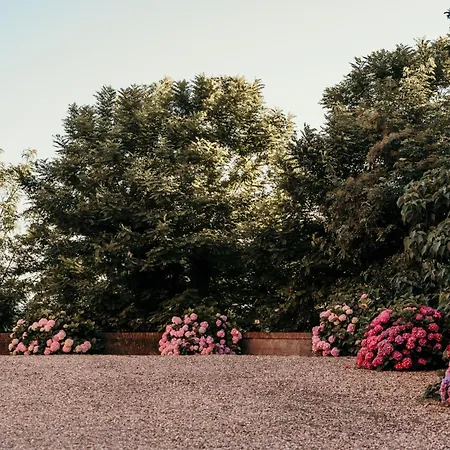 Castello Di Pasturana