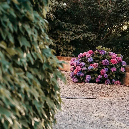 アパート Castello Di *