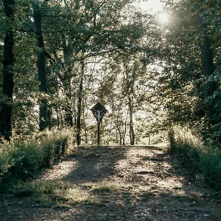 Castello Di Lejlighed Pasturana